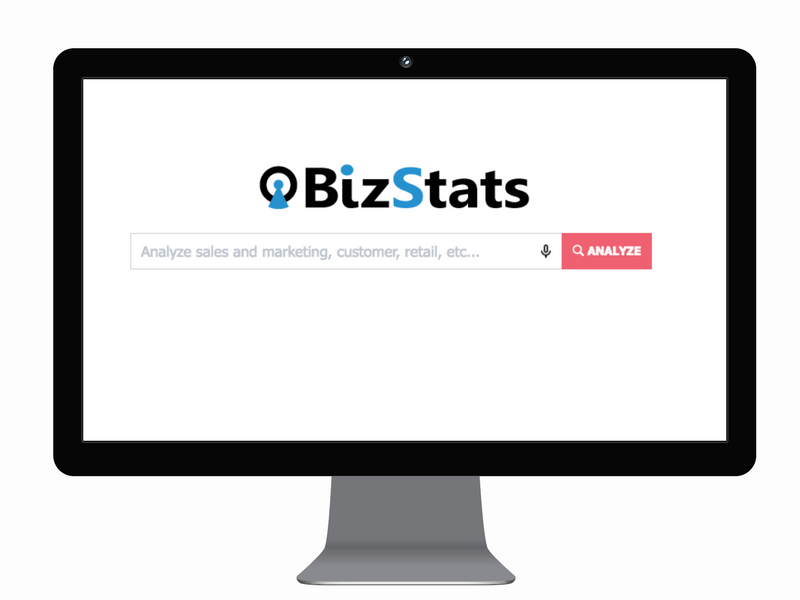 Bizstats analytics search interface